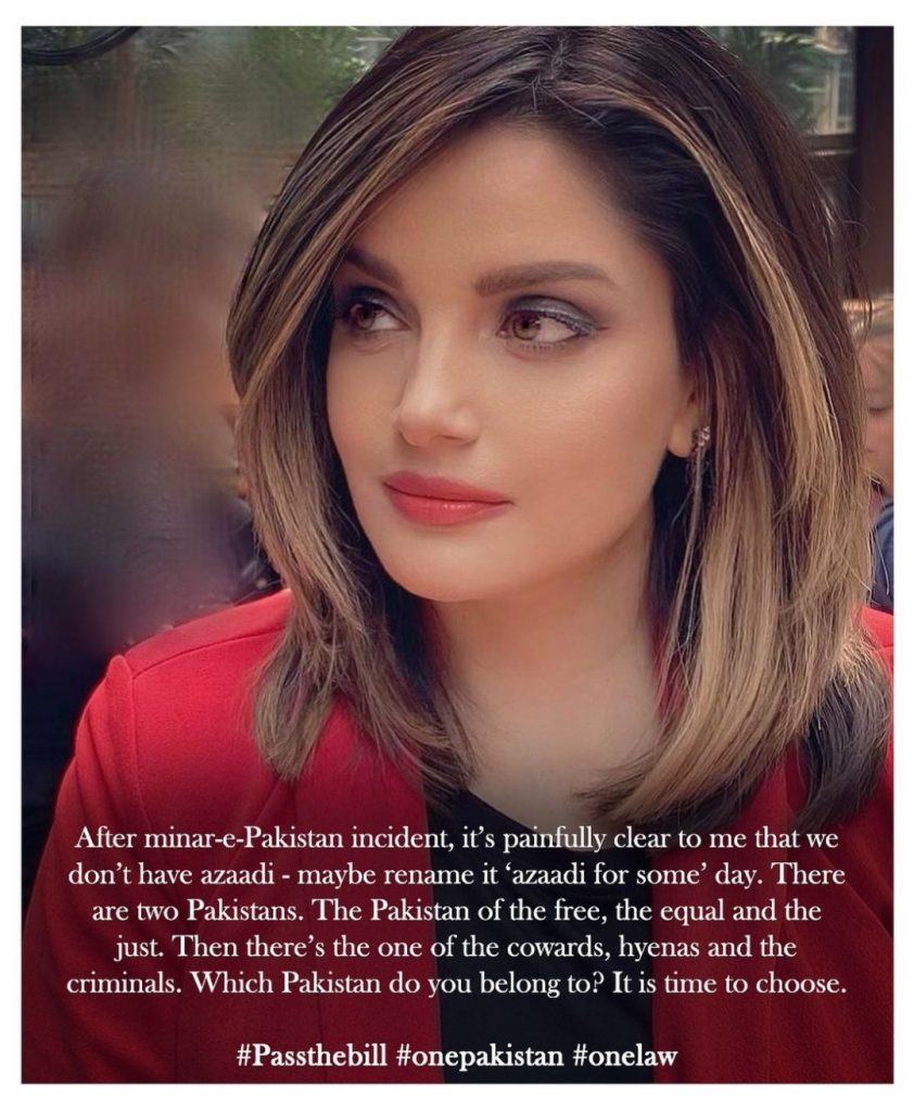 Public Criticism On Armeena Khan On Her Recent Statement About Pakistan