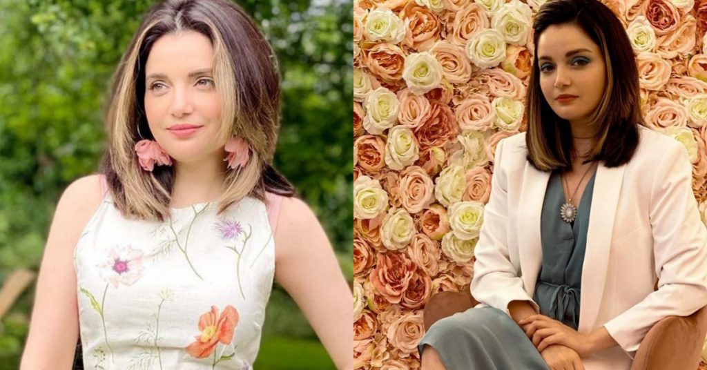 Public Criticism On Armeena Khan On Her Recent Statement About Pakistan