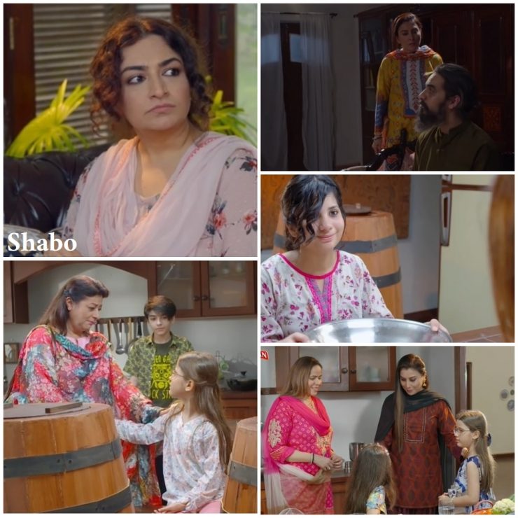 Hum Kahan Ke Sachay Thay Episode 1 Story Review - A Solid Beginning