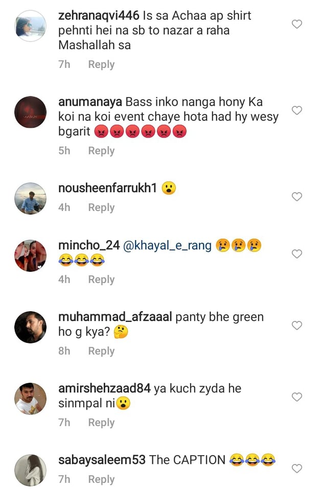 Severe Public Criticism On Ayesha Omar's Independence Day Outfit