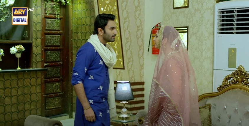 Drama Serial Shehnai Ended On A Happy Note - Public Reaction