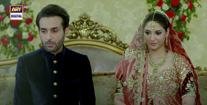Drama Serial Shehnai Ended On A Happy Note - Public Reaction