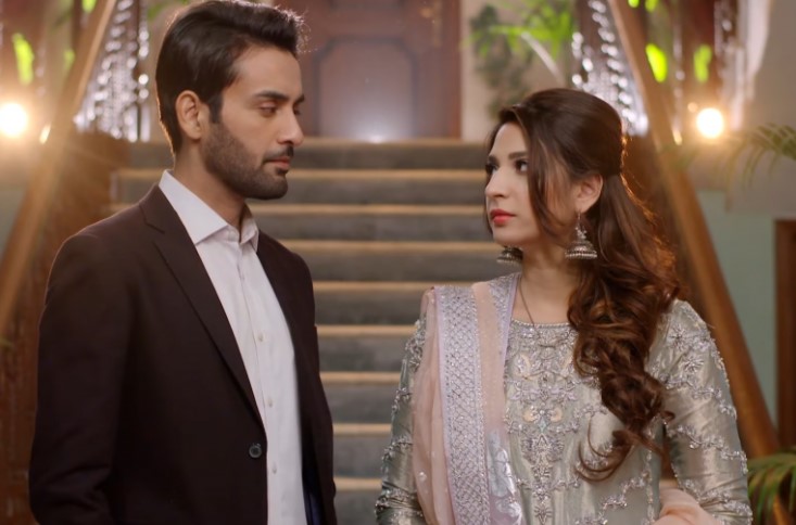 Drama Serial Shehnai Ended On A Happy Note - Public Reaction