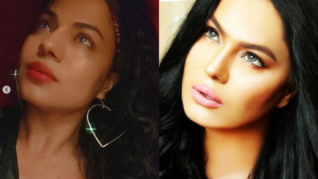 Veena Malik Plastic Surgery Before & After Pictures