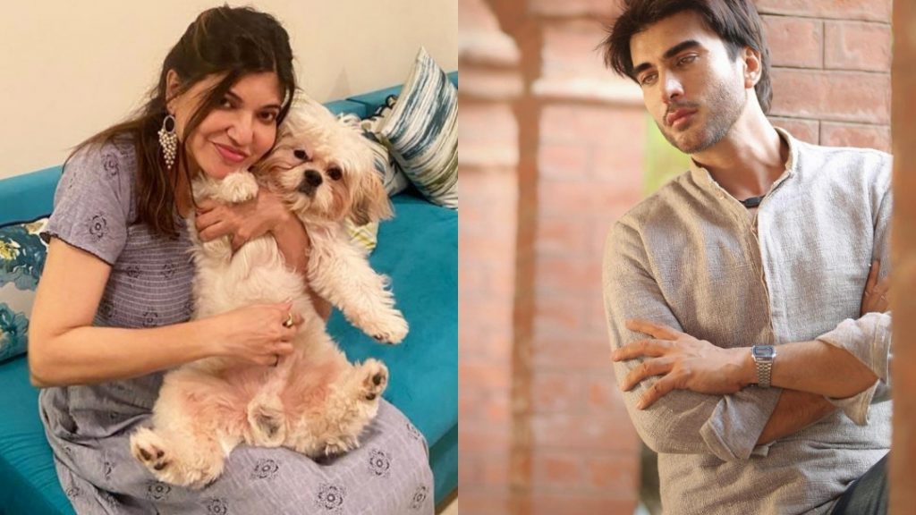 Alka Yagnik Waits For Imran Abbas's Drama Amanat