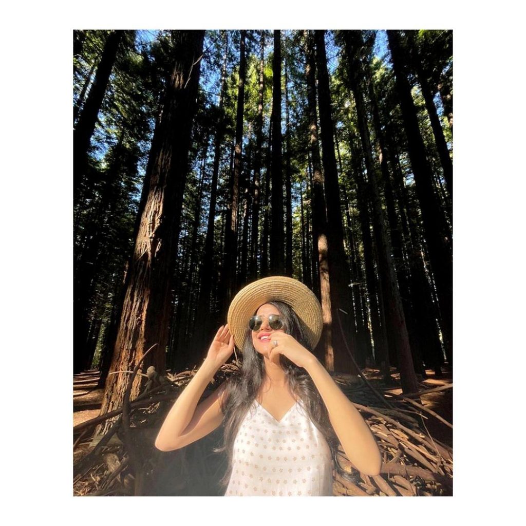 Saniya Shamshad's Pictures From Redwood Forest