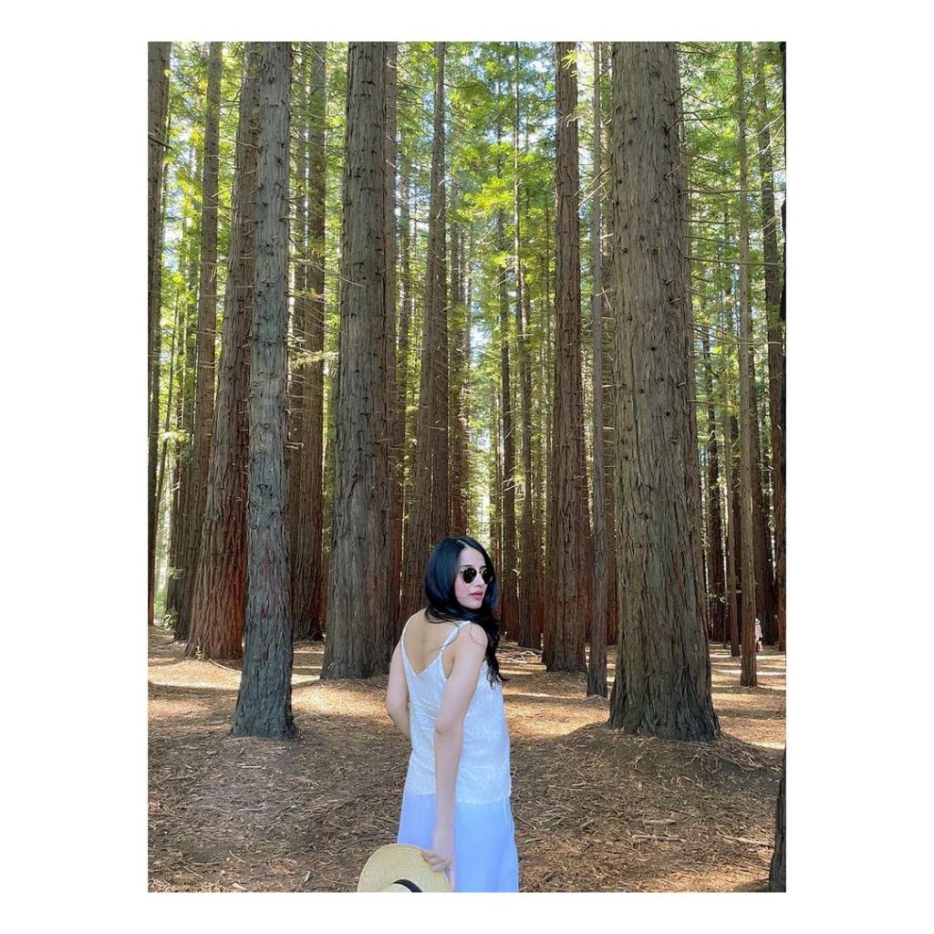 Saniya Shamshad's Pictures From Redwood Forest