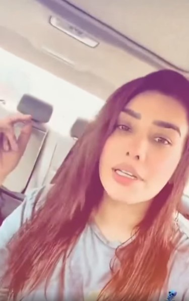 Internet Users Take A Dig At Maira Khan's Remarks On "Burgers" And "Paindos"