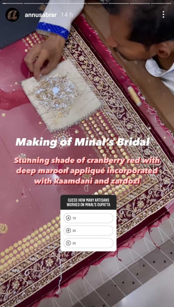Enthralling Details About Minal Khan's Wedding Dress
