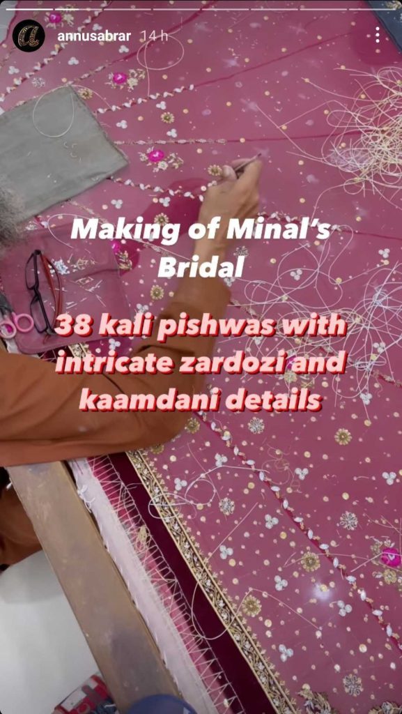 Enthralling Details About Minal Khan's Wedding Dress