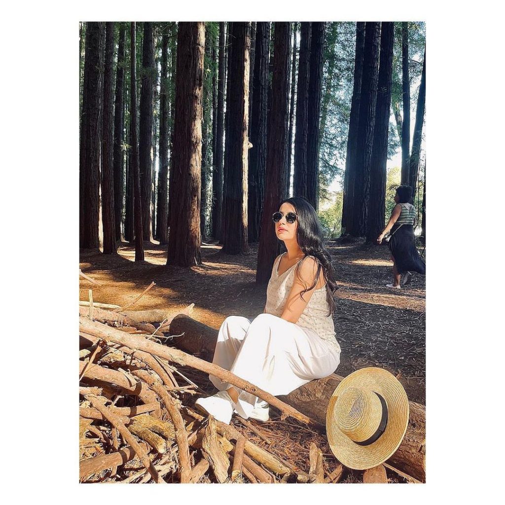 Saniya Shamshad's Pictures From Redwood Forest