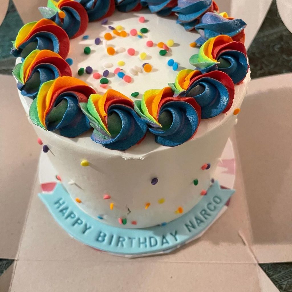 Ushna Shah Celebrating Her Dog's Birthday Got Public's Reproval ...