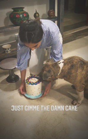 Ushna Shah Celebrating Her Dog's Birthday Got Public's Reproval