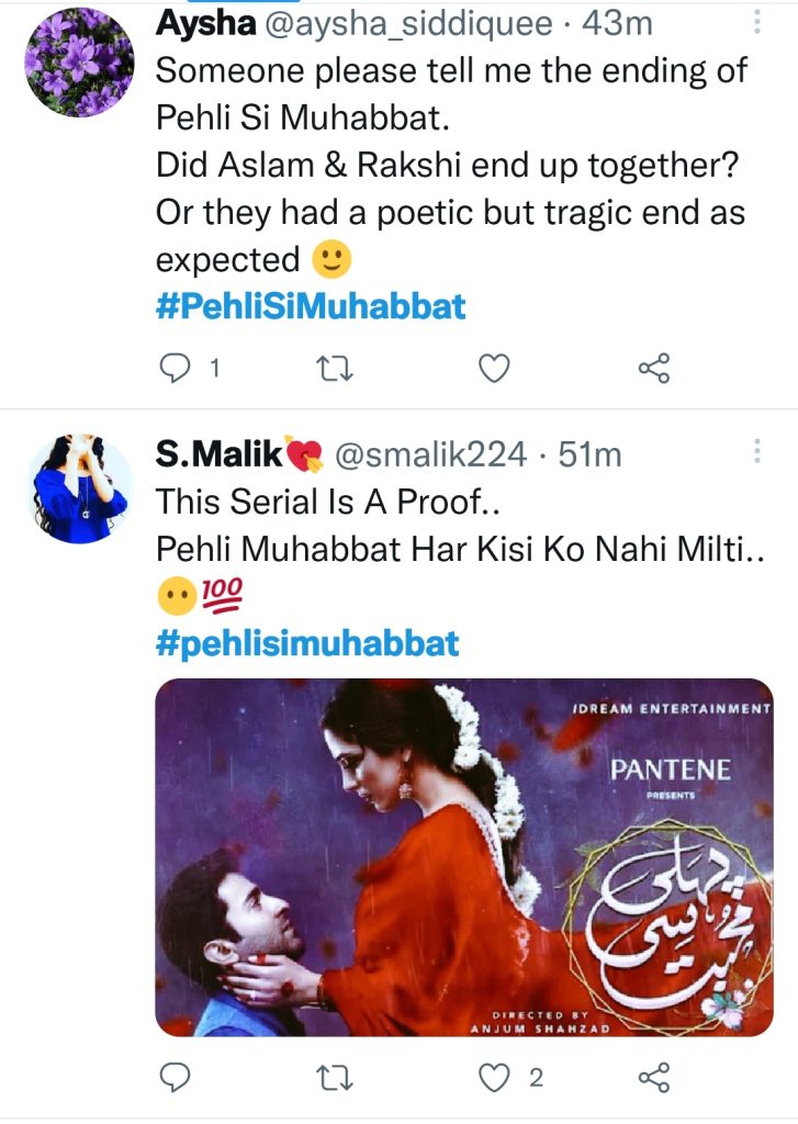 Pehli Si Mohabbat Last Episode - Public Opinion