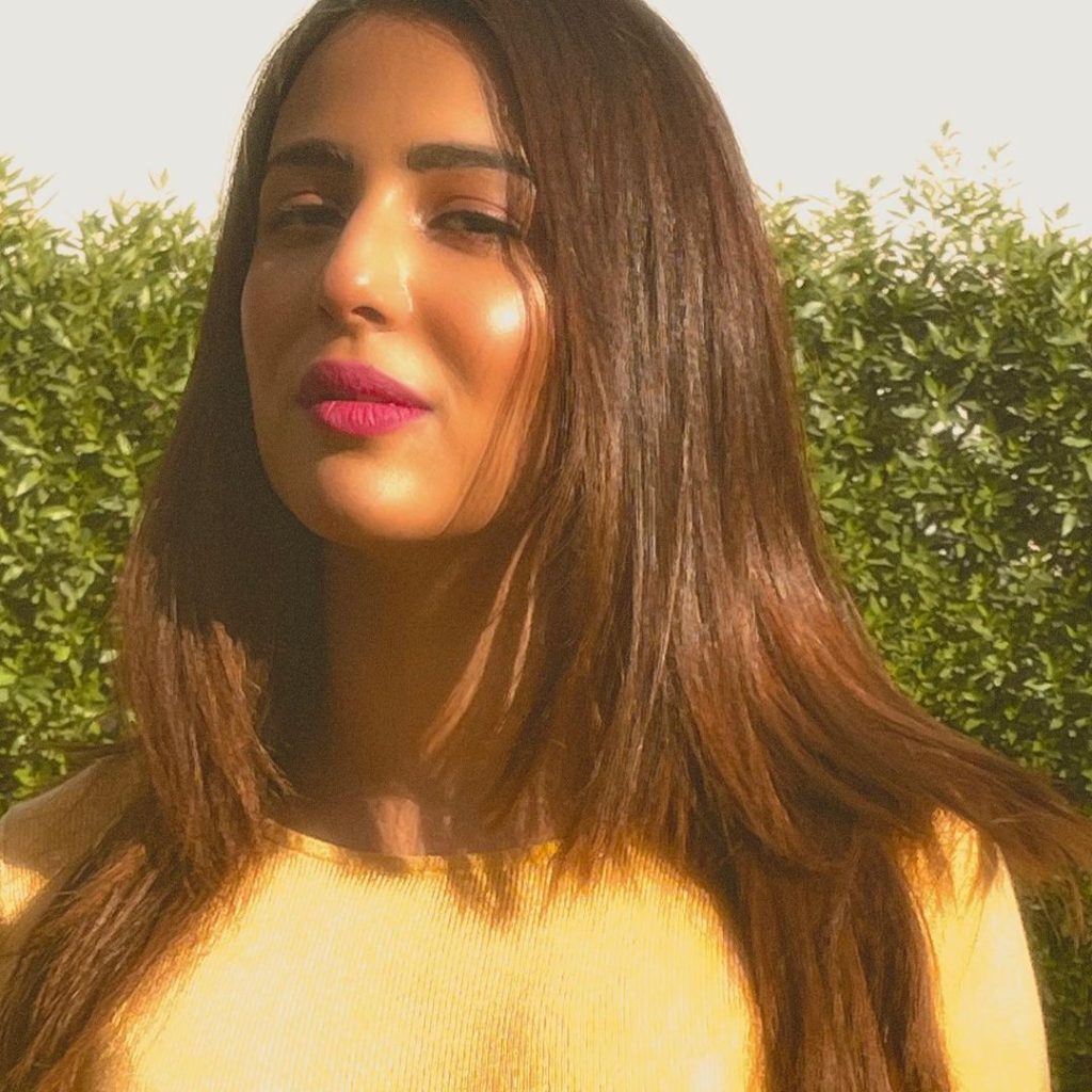 Ushna Shah's Latest Pictures Garner Criticism