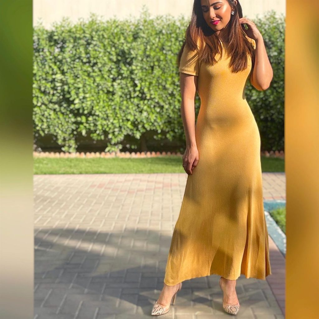 Ushna Shah's Latest Pictures Garner Criticism