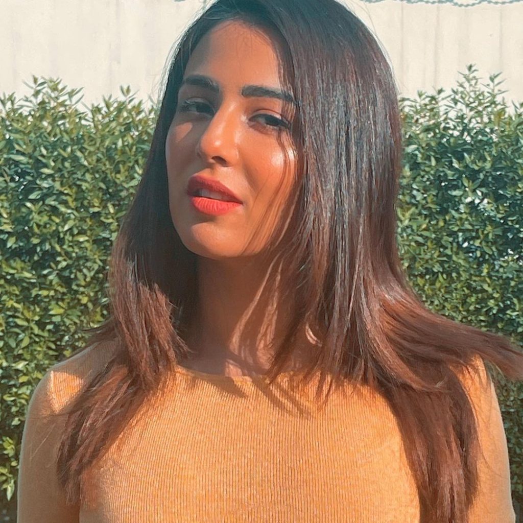 Ushna Shah's Latest Pictures Garner Criticism