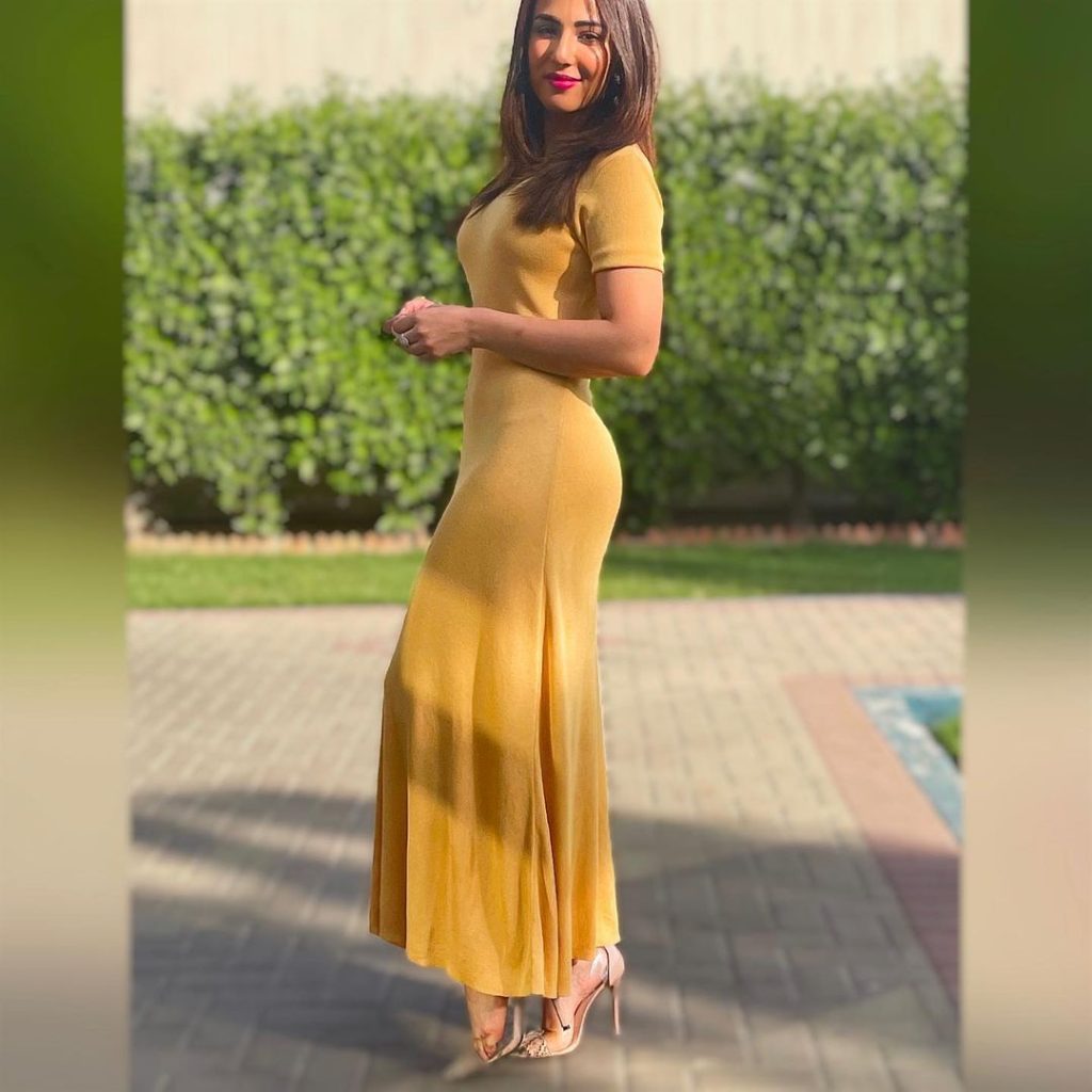 Ushna Shah's Latest Pictures Garner Criticism