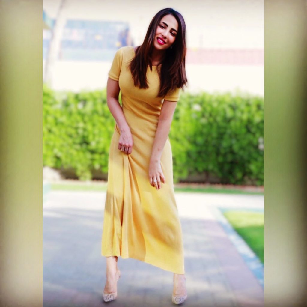 Ushna Shah's Latest Pictures Garner Criticism