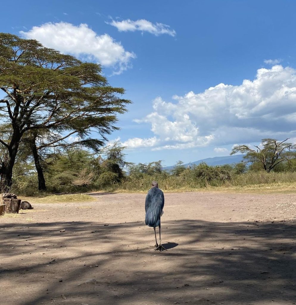 Ayesha Omar's Gorgeous Pictures from Tanzania