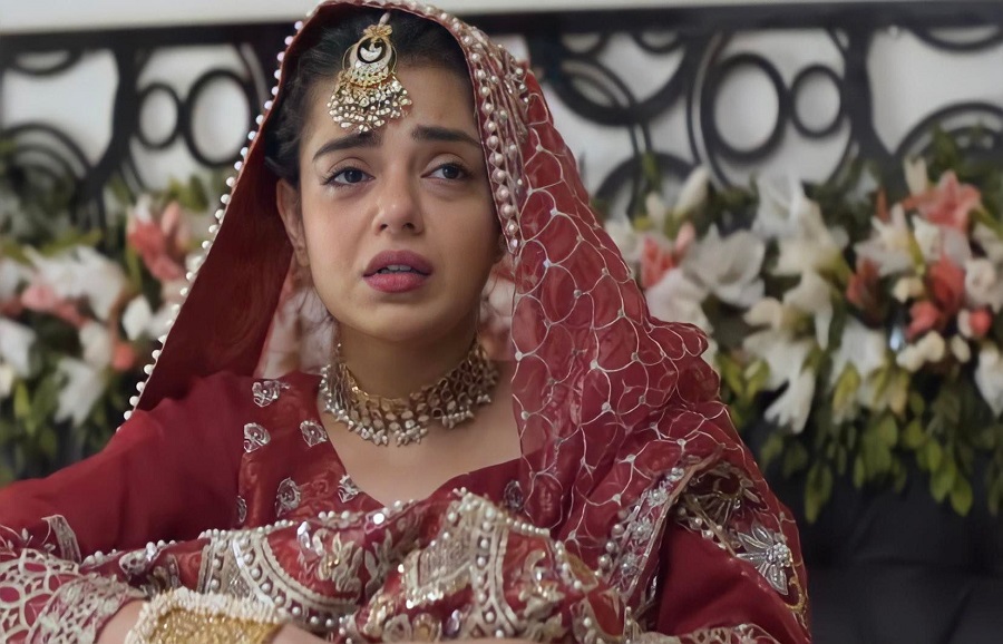 Best Pakistani Female Characters in 2021