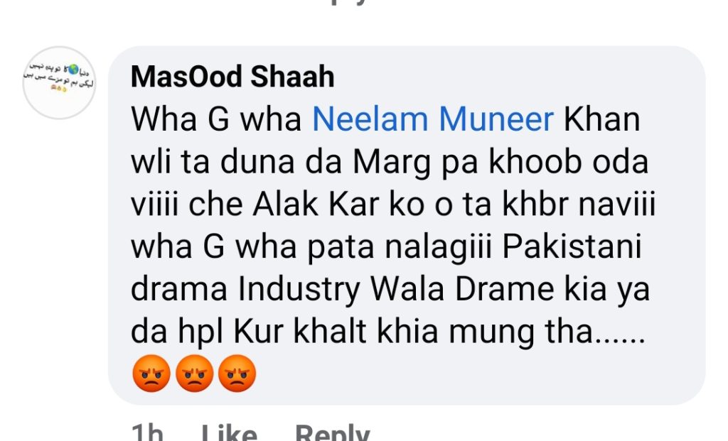 Fans Show Anger on Neelum Muneer's Mohabbat Daagh Ki Soorat