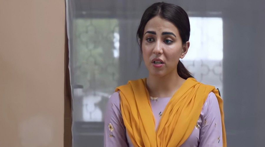 Best Pakistani Female Characters in 2021