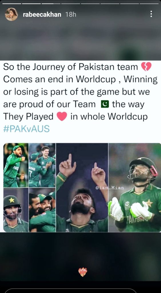 Pakistani Celebrities Supporting Team Pakistan After Recent Defeat