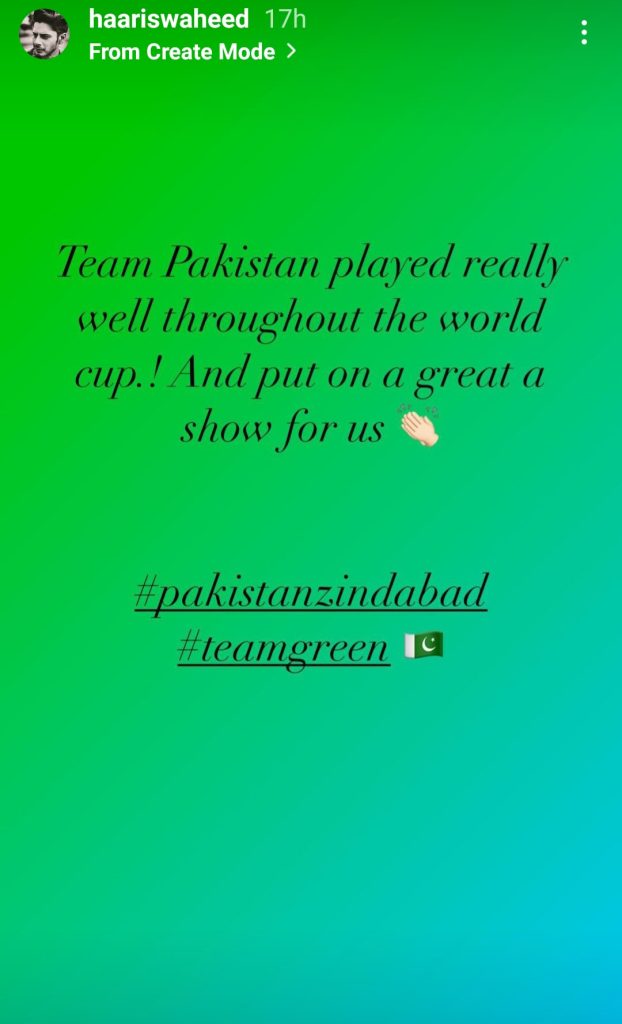 Pakistani Celebrities Supporting Team Pakistan After Recent Defeat