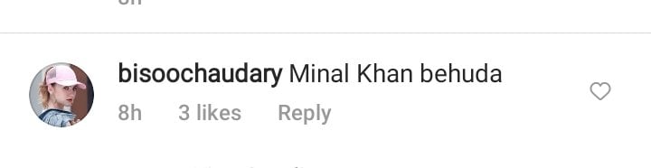 Minal Khan Receives Backlash On Her Recent Post