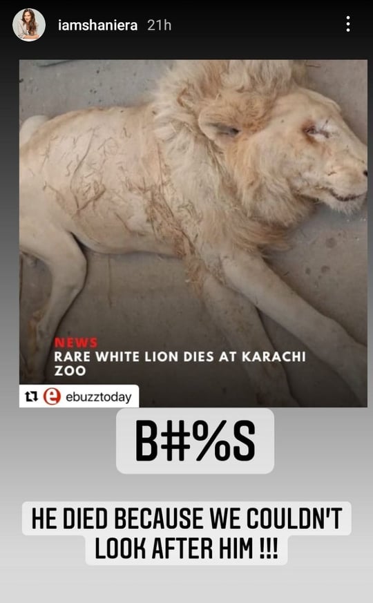 Celebrities Demand To Shut Down Zoos In Pakistan
