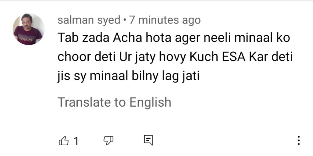 Neeli Zinda Hai Last Episode Public Reaction