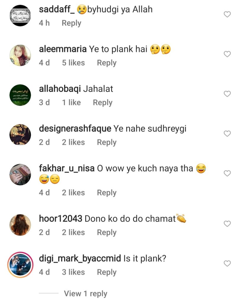 Veena Malik And Mishi Khan's Plank Challenge In Live Show Gets Criticism