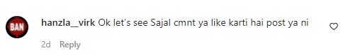 People Question Ahad Raza Mir About Sajal Aly