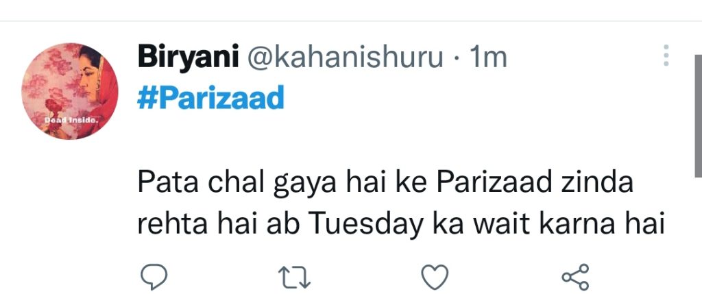 Fans Are Not Appreciating Parizaad Spoilers Prior to Television Release