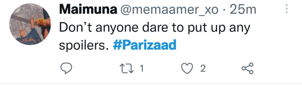 Fans Are Not Appreciating Parizaad Spoilers Prior to Television Release