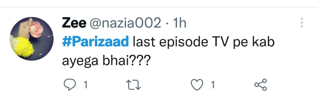 Fans Are Not Appreciating Parizaad Spoilers Prior to Television Release