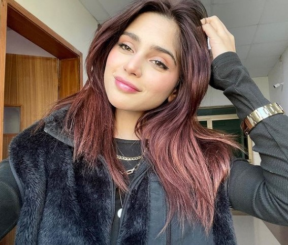 Netizens Criticize Aima Baig On Tax Evasion