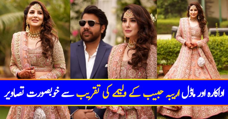 Areeba Habib’s Valima Ceremony – HD Pictures
