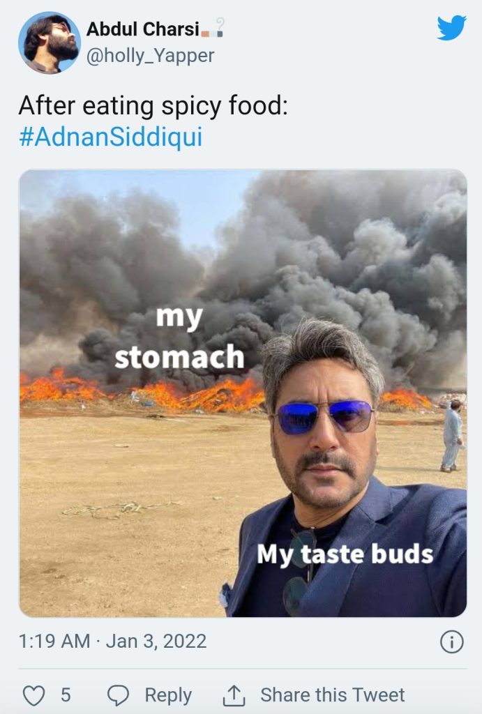 Hilarious Memes on Adnan Siddiqui's Viral Picture