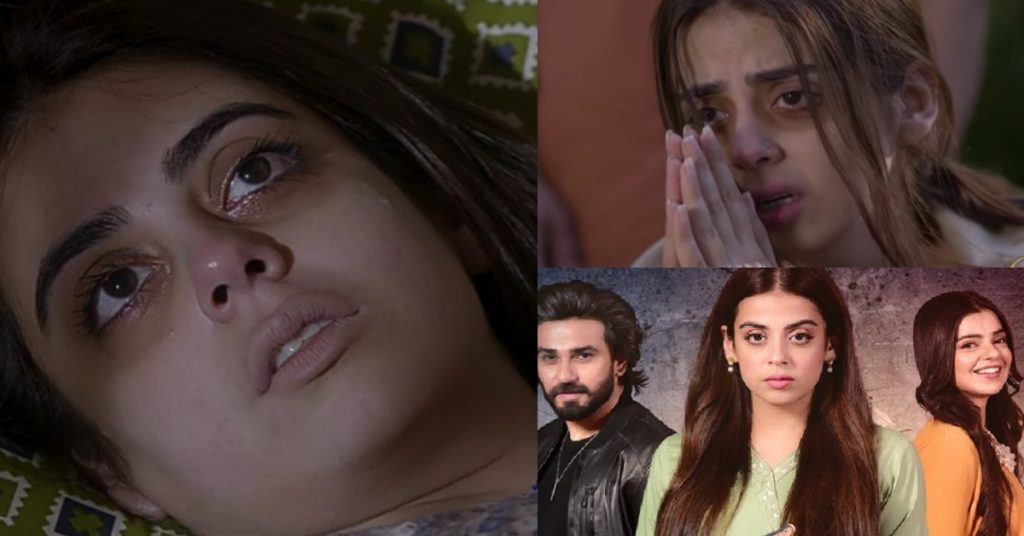 Bebaak Drama Last Episode Public Reaction