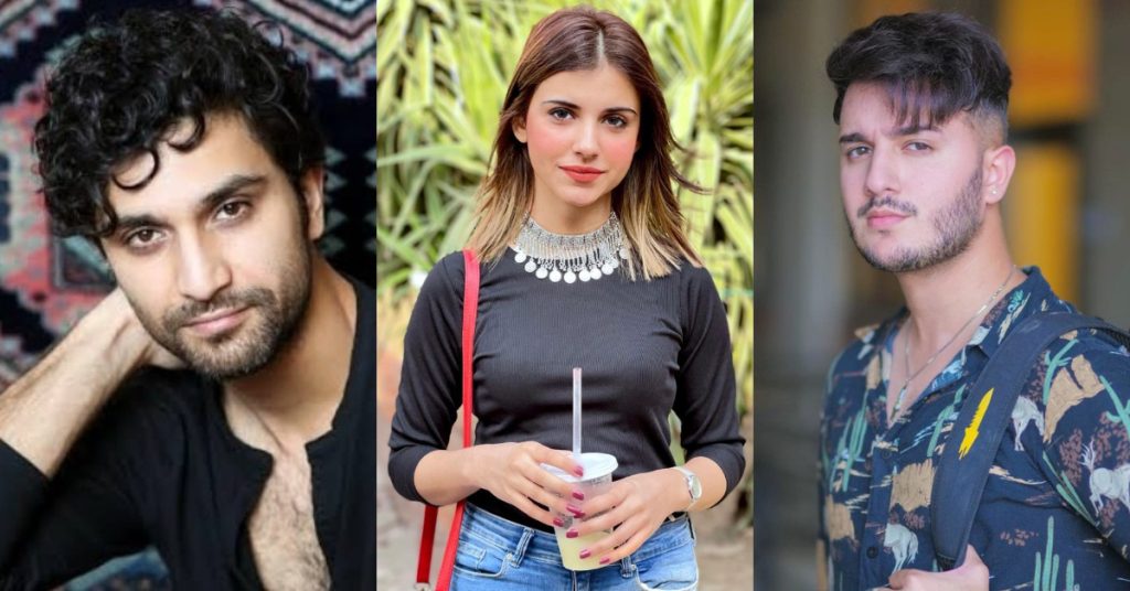 Blogger Raises Her Voice Against Ahad Raza Mir And Shaveer Jafry’s Arrogant Behavior