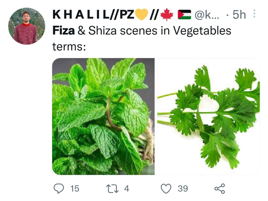 Shiza and Fiza Hilarious Memes Go Viral on Twitter