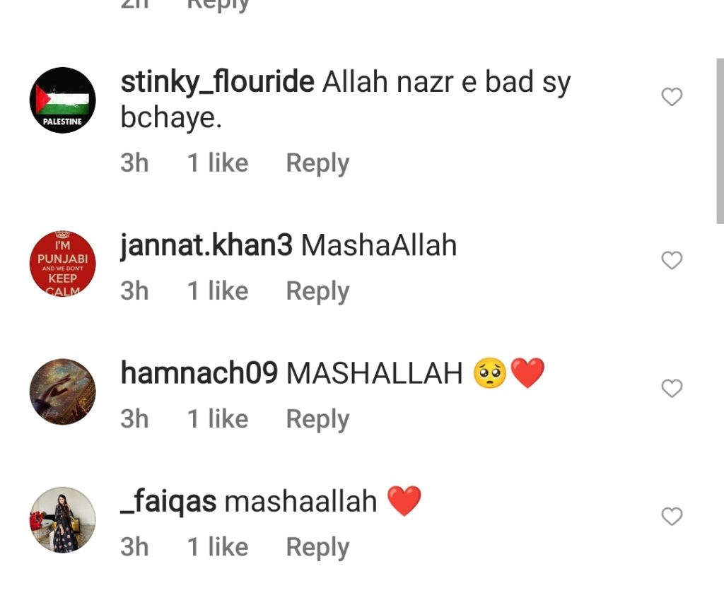 Fans Have Hilarious Responses On Naimal & Hamza's Online Conversation