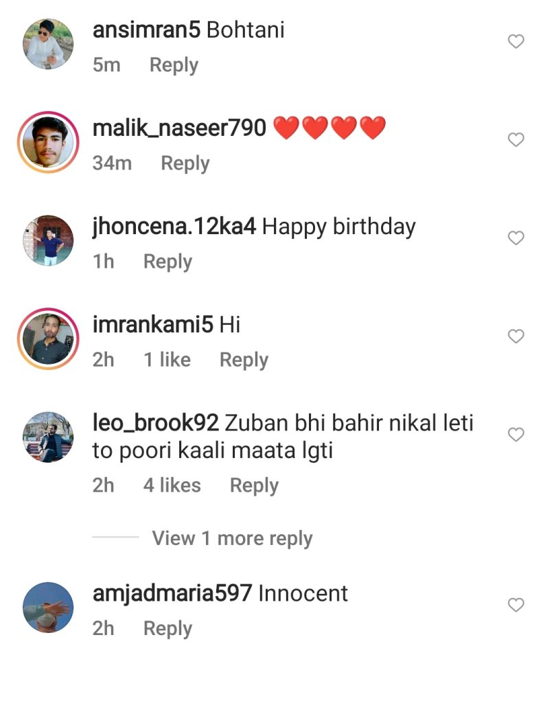 Netizens Criticize Hira Mani's Birthday Pictures