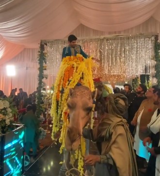 Groom's Camel Entry At A Mehendi Goes Viral-Netizens React