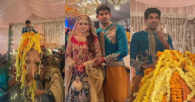 Groom’s Camel Entry At A Mehendi Goes Viral-Netizens React
