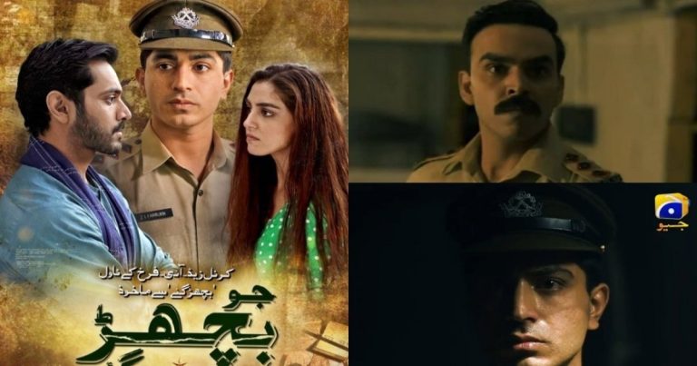 Jo Bichar Gaye Garnering Immense Public Praise