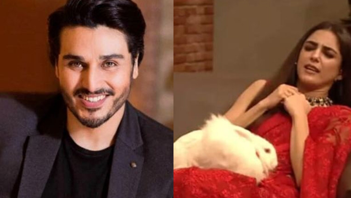 Ahsan Khan Criticized For Taunting Maya Ali