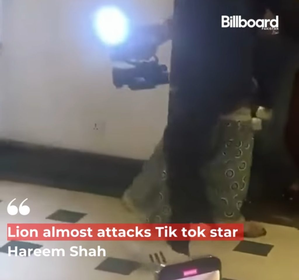 Hareem Shah Escapes Lion Attack